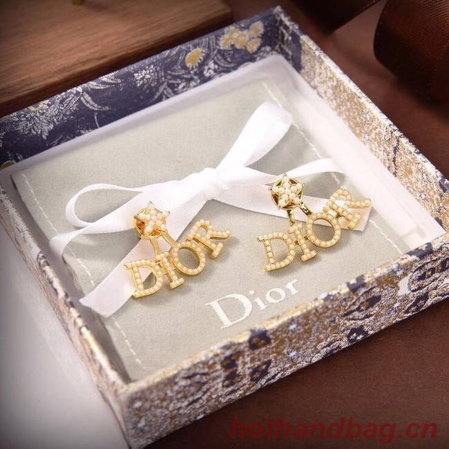 Dior Earrings CE6040