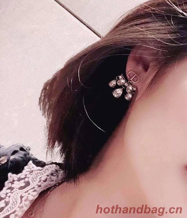 Dior Earrings CE6045