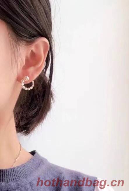 Dior Earrings CE6070