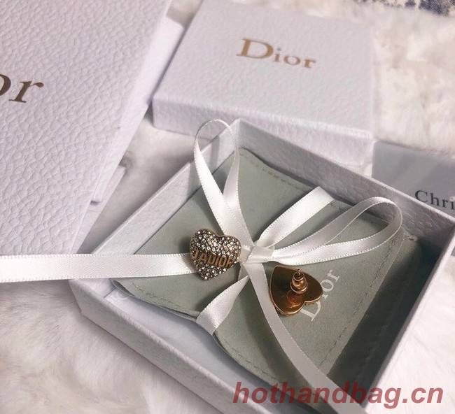 Dior Earrings CE6348