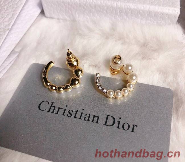 Dior Earrings CE6349