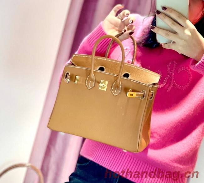 Hermes Birkin 25CM Epsom Bag Original Leather H25E brown