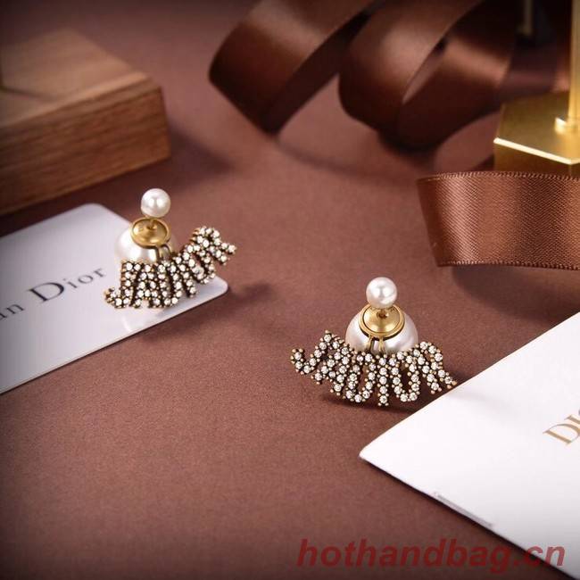 Dior Earrings CE6488