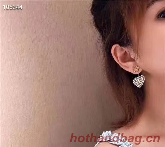 Dior Earrings CE6493