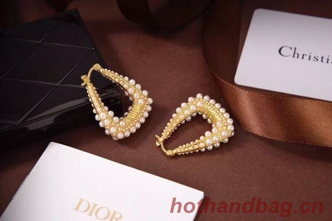 Dior Earrings CE6497