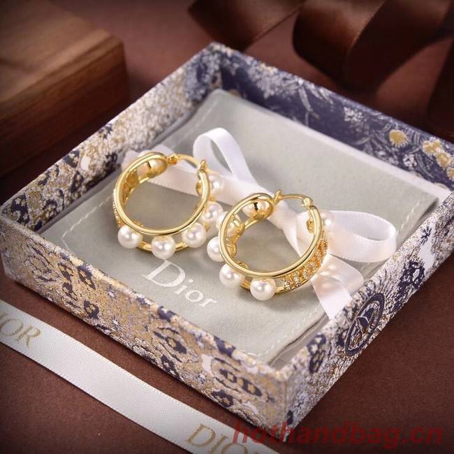 Dior Earrings CE6503