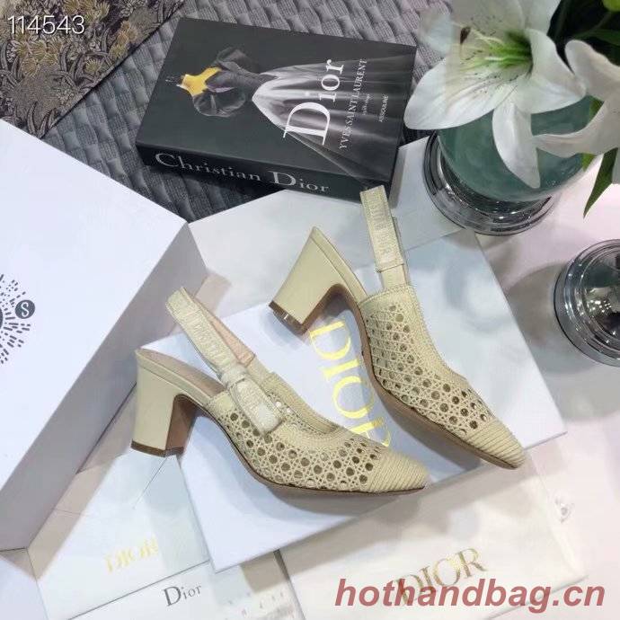 DIOR & MOI SLINGBACK PUMP Cream Mesh Cannage Embroidery KCP890R