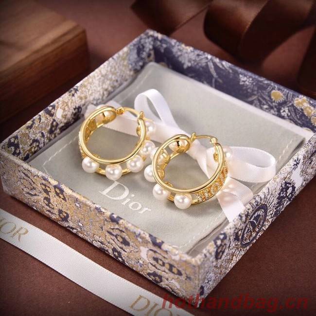 Dior Earrings CE6556