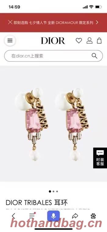 Dior Earrings CE6673