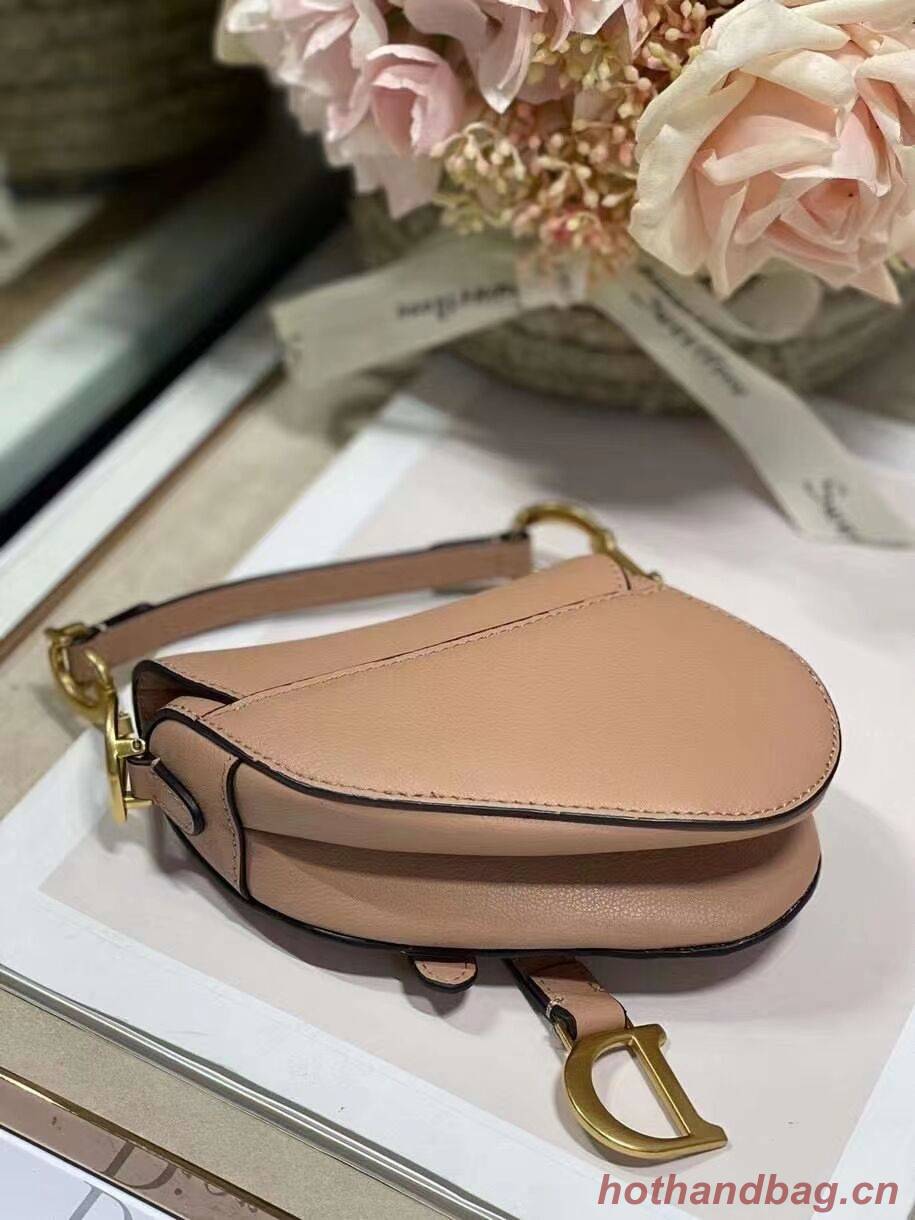 DIOR SADDLE BAG mini Calfskin C8160 pink