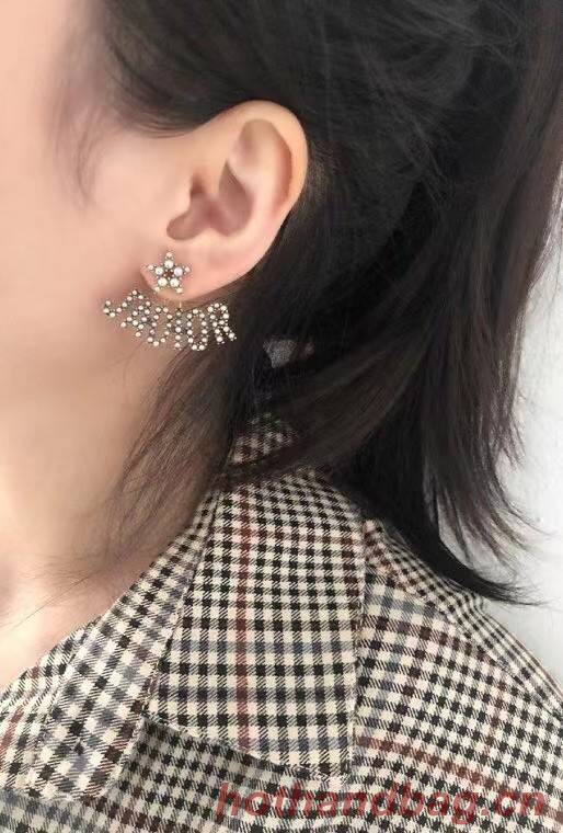 Dior Earrings CE7217