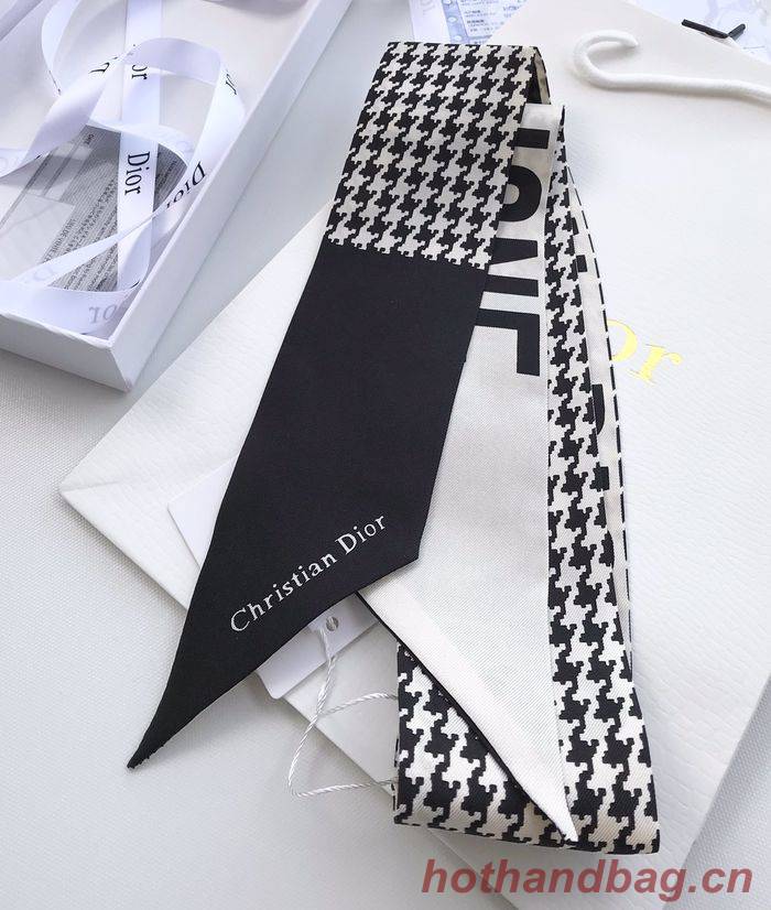 Dior Scarf CD00102