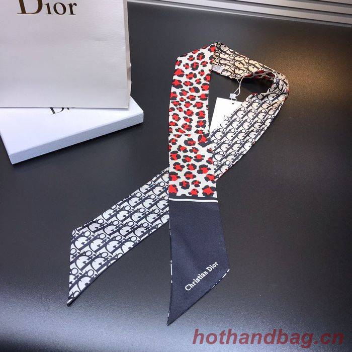 Dior Scarf CD00105