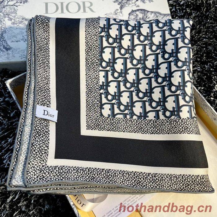 Dior Scarf CD00119