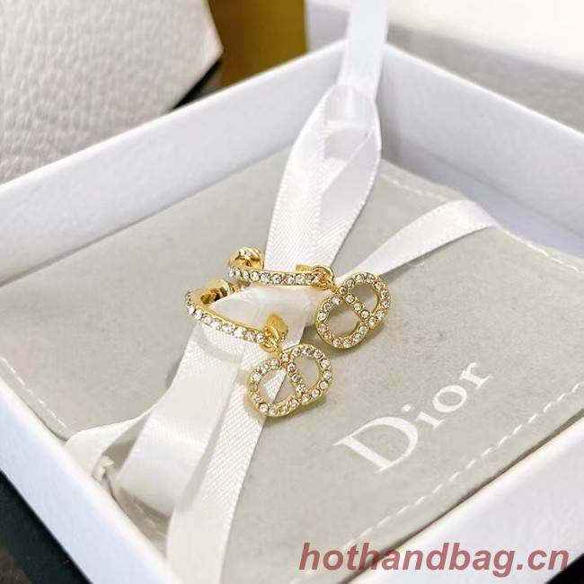 Dior Earrings CE7464