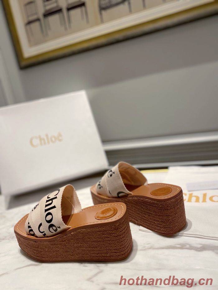 Chloe shoes CO00009