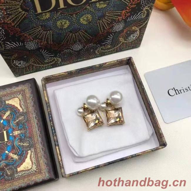 Dior Earrings CE7659