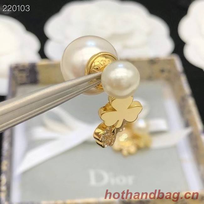 Dior Earrings CE7692