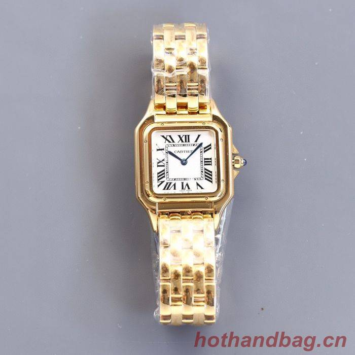 Cartier Watch CTW00016-1