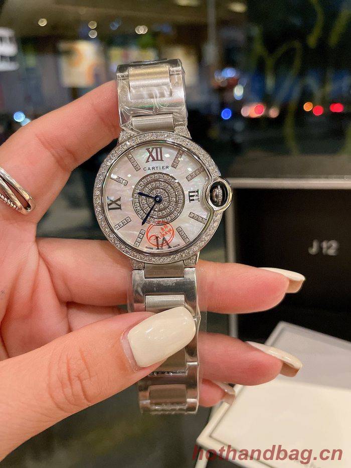 Cartier Watch CTW00101