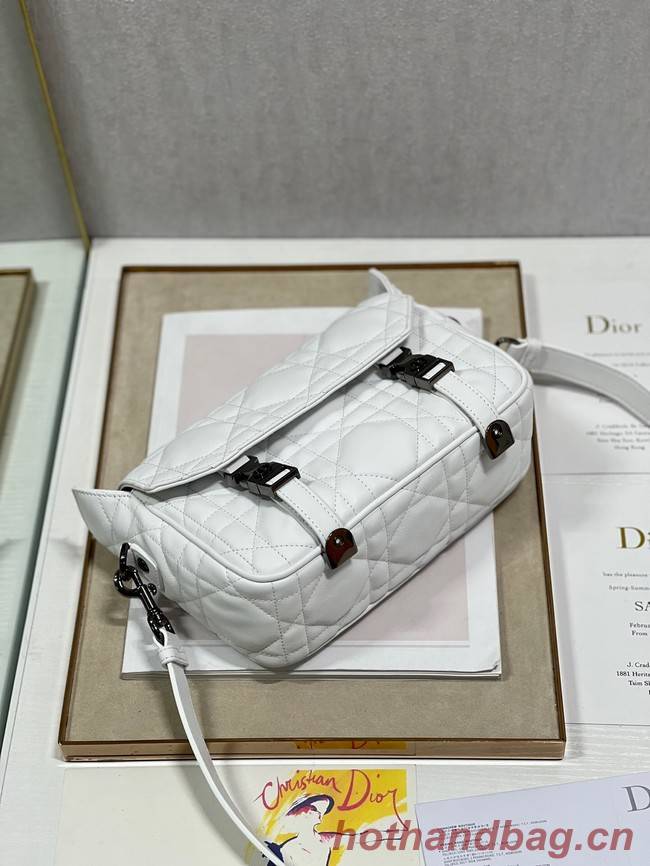 DIOR BOBBY BAG leather 6619 white