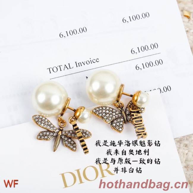 Dior Earrings CE8383