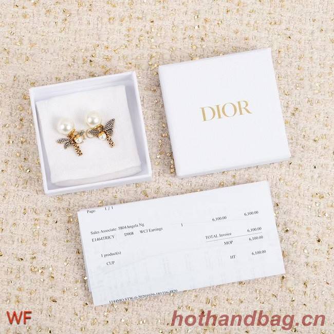 Dior Earrings CE8383