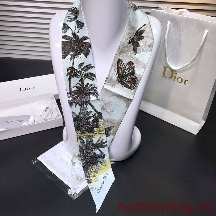 Dior Scarf DIS00002