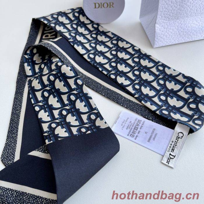 Dior Scarf DIS00006