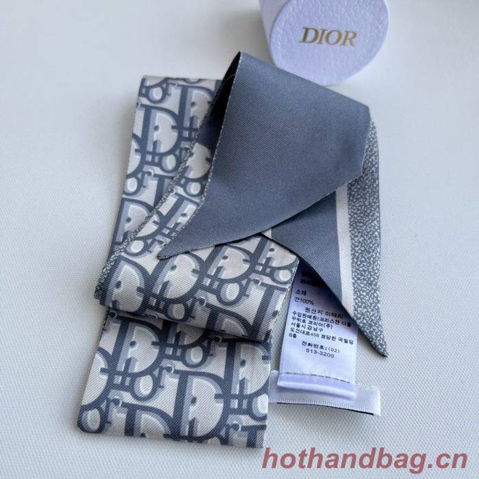 Dior Scarf DIS00007