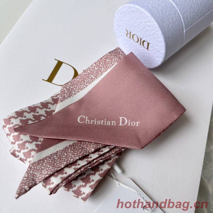 Dior Scarf DIS00010