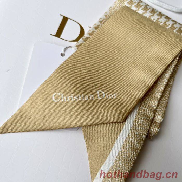 Dior Scarf DIS00011