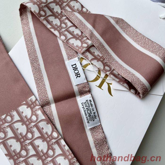 Dior Scarf DIS00012