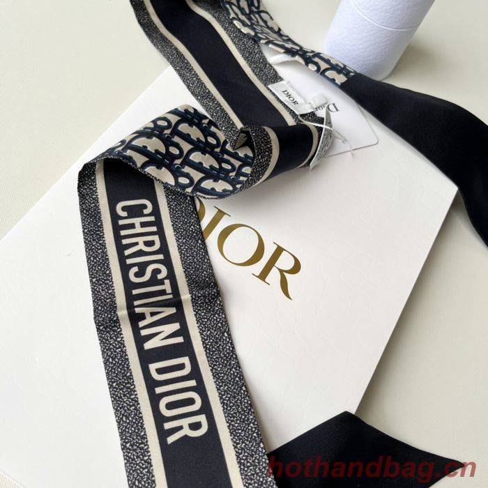 Dior Scarf DIS00014