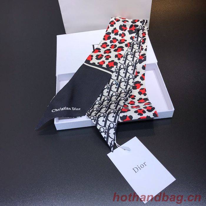 Dior Scarf DIS00016