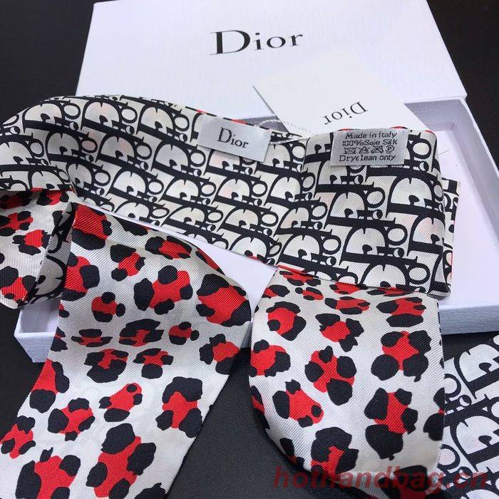 Dior Scarf DIS00016