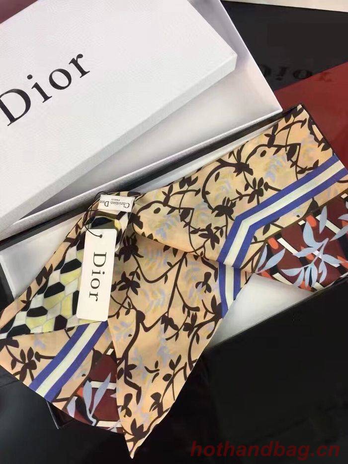 Dior Scarf DIS00017