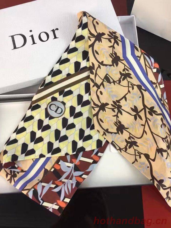 Dior Scarf DIS00017