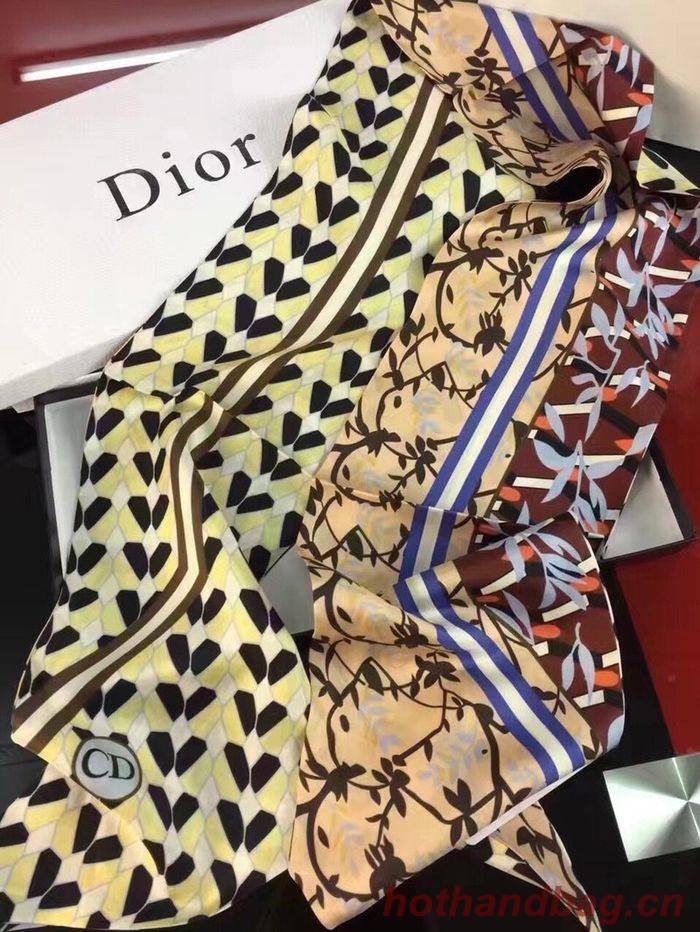 Dior Scarf DIS00017