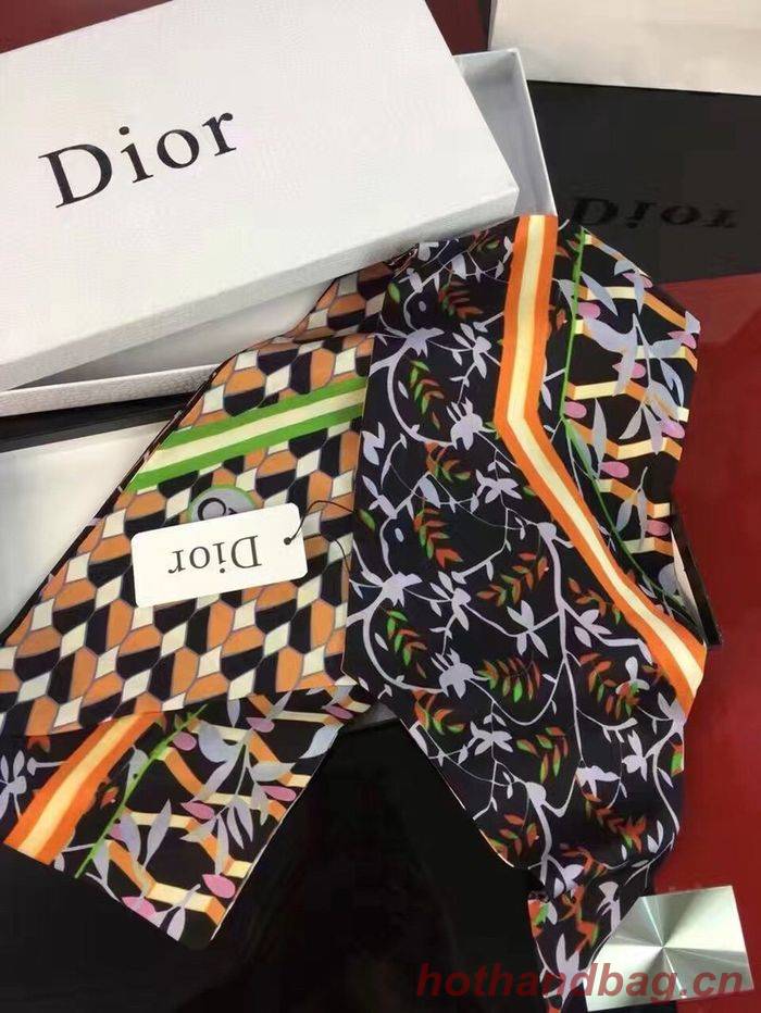 Dior Scarf DIS00018