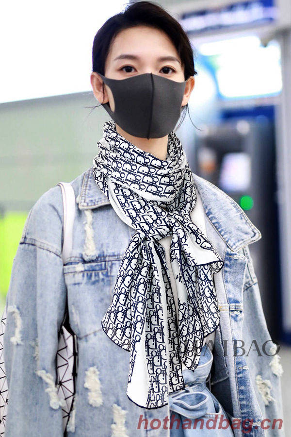 Dior Scarf DIS00022