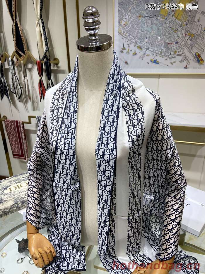 Dior Scarf DIS00022