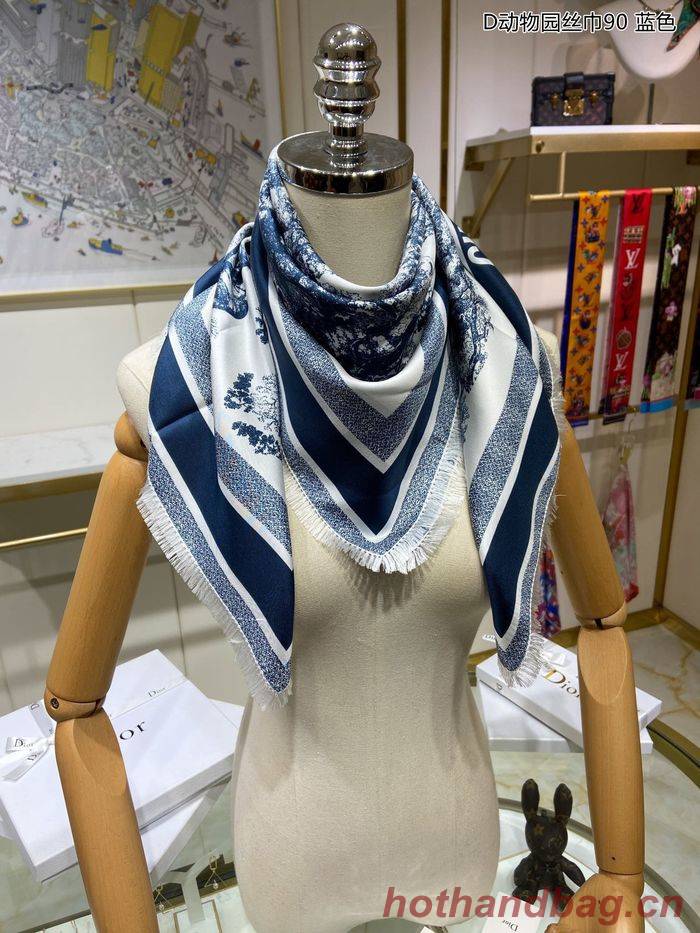 Dior Scarf DIS00024