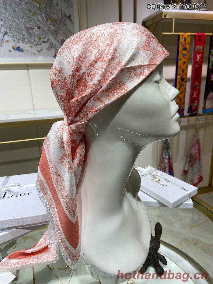 Dior Scarf DIS00025