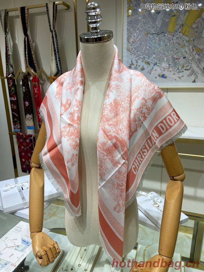 Dior Scarf DIS00025