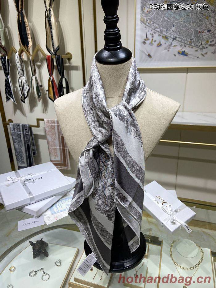 Dior Scarf DIS00029