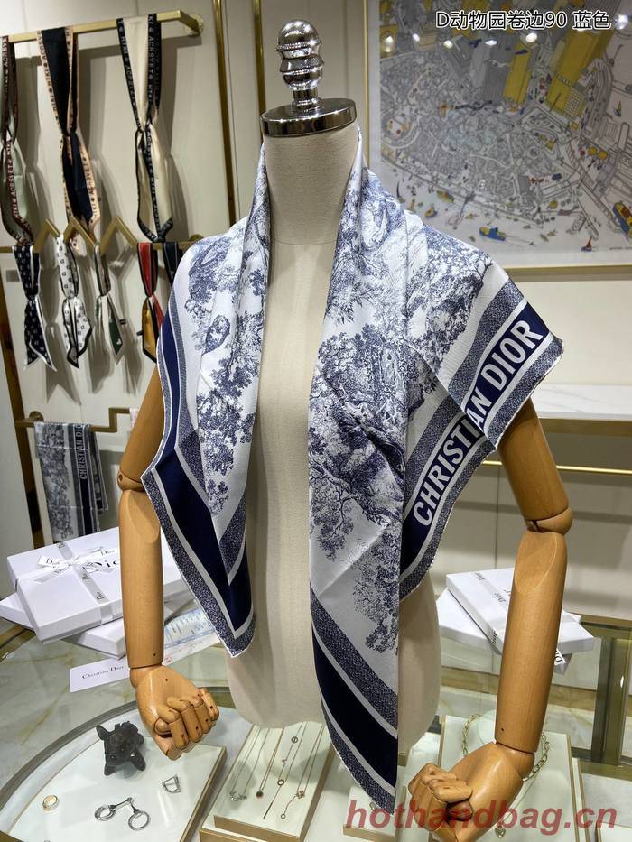 Dior Scarf DIS00031