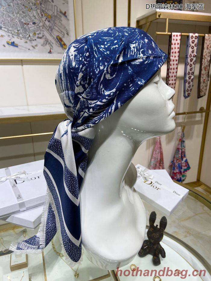 Dior Scarf DIS00034