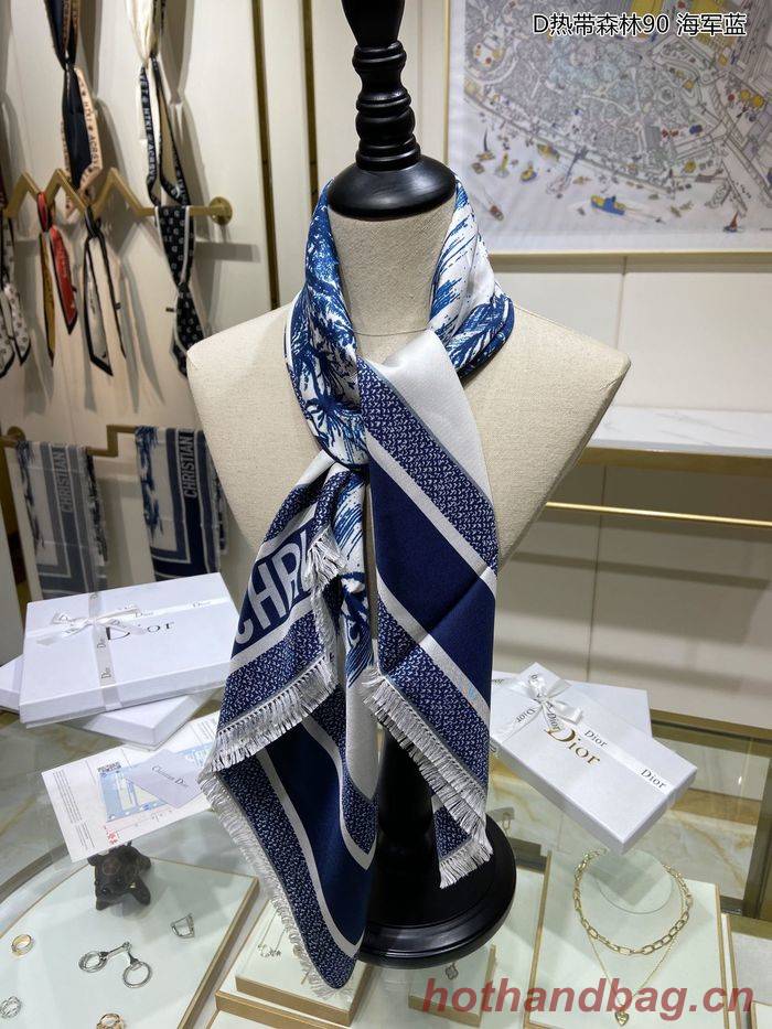 Dior Scarf DIS00034