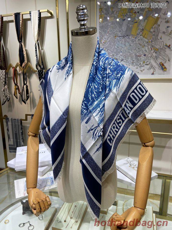 Dior Scarf DIS00034